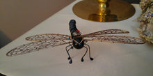 Black and bronze dragonfly